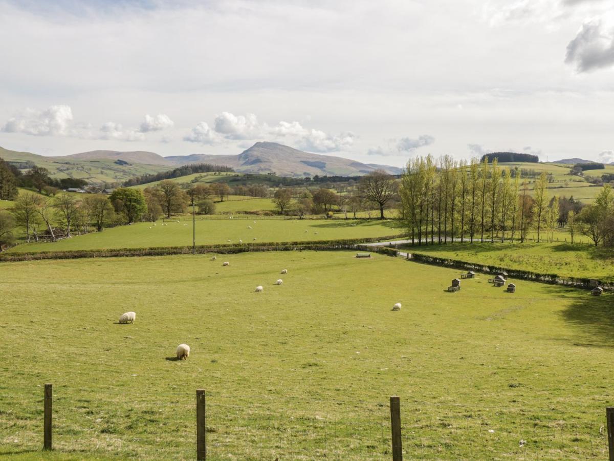 Cyffdy Cottage - Arenig Bala Esterno foto