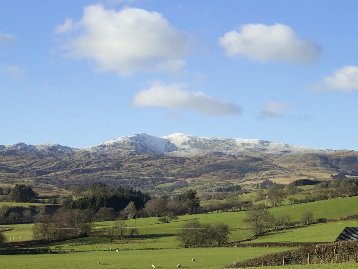 Cyffdy Cottage - Arenig Bala Esterno foto
